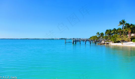 佛罗里达，就是我的照片...