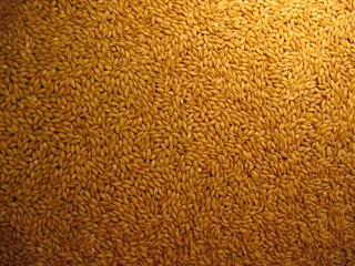 竹制凉席,皮革,沙发,纹理图,模糊图片,2行麦芽