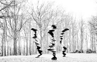 钢笔画,冰雪,树挂,树,版画,谈话专栏