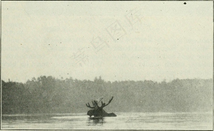 图片来自“杆和枪”（1898）第36页