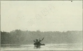 图片来自“杆和枪”（1898）第36页