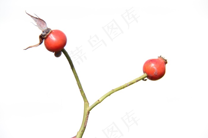 高键3/3