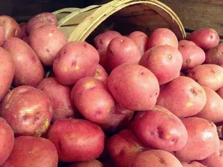 苹果,秦冠苹果,富士苹果,百香果,矮化苹果,红土豆