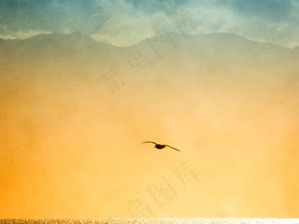 蓝鸟背着天空。 〜亨利·大卫·梭罗