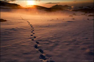 天空,霞光,海洋,沙漠,地板砖,公吨。布鲁斯-大本营的日落