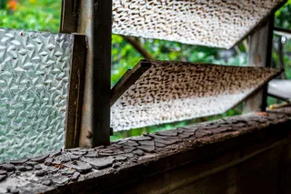 现代建筑,鸟类,笼子,盆栽植物,商店商场,裂纹和卷曲