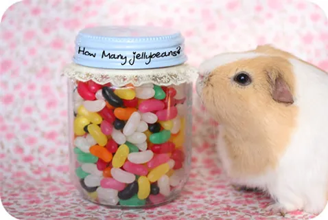 多少豆... 多少豆...