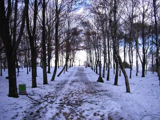 Un final de camino muyfrío（一种非常冷酷的方式）