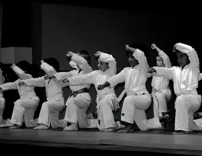 群舞,舞蹈诗,芭蕾舞剧,击剑,芭蕾舞演员,空手道小子