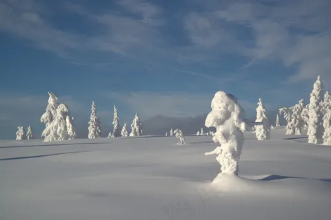 Blefjell上的巨魔 Blefjell上的巨魔