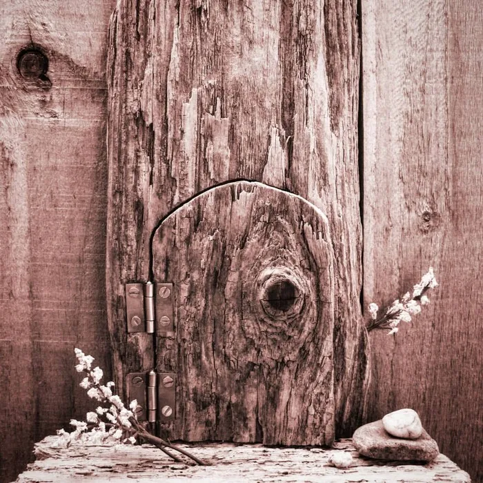 ＃童话＃童话＃浮木＃微型＃抽象＃木纹