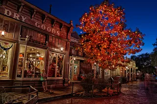 雷·布拉德伯里树