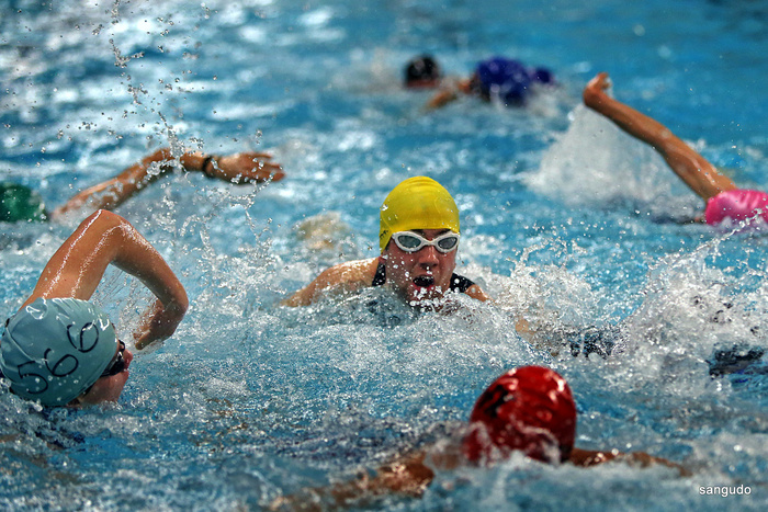 ,油画,水球运动,花式游泳,,2013-02-03 Aquathlon