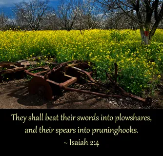 江岭,油菜田,草原,油菜花,龙脊梯田,以赛亚书2:4 江岭,油菜田,草原,油菜花,龙脊梯田,以赛亚书2:4