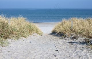 湖泊,海洋,冰雪,江河,树,海滩