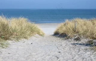 湖泊,海洋,冰雪,江河,树,海滩