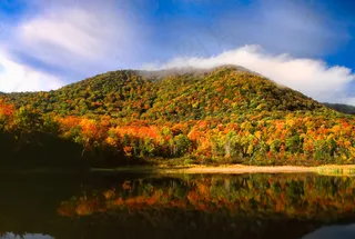 佛蒙特州的秋天