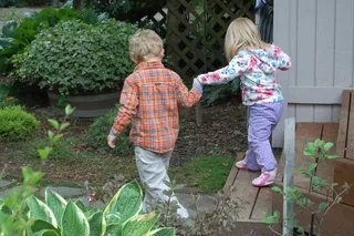 大棚,菜地,农工,烤烟,村道,伸出援助之手