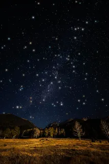 德拉科尼德之夜 德拉科尼德之夜