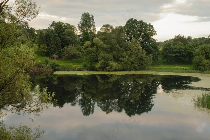 树,风景,天空,湖泊,江河,斯特灵大学校园一