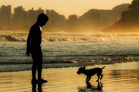 水滴在燃烧的岩石上 水滴在燃烧的岩石上