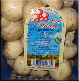 马铃薯,条形码,瓶子,瓶装饮料,酒,大卫·科舍尔之星海豹