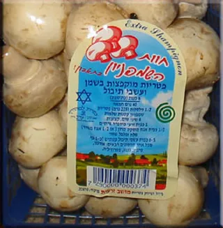 马铃薯,条形码,瓶子,瓶装饮料,酒,大卫·科舍尔之星海豹