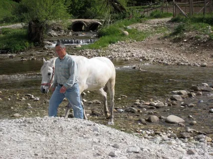 哺乳类,小狗,牧场,人物特写,鸟类,马饮水