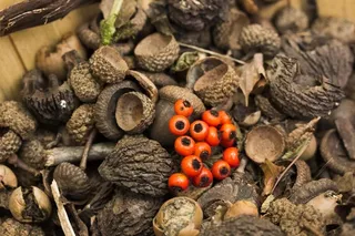 胖花农场魔法森林节童话房屋2012年10月7日14