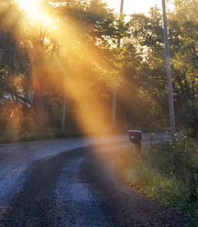 树,生态林,油画,天空,公路,来自上帝的邮件 树,生态林,油画,天空,公路,来自上帝的邮件