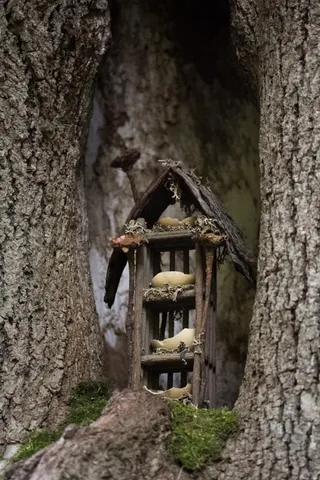 Fat Blossom Farm魔法森林节童话房屋2012年10月7日11