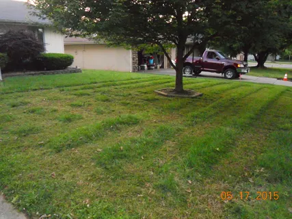 草原,园林景观,自然公园,滑草,体育场馆,nscalefun的美国国旗