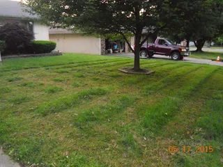 草原,园林景观,自然公园,滑草,体育场馆,nscalefun的美国国旗