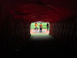 奥运金牌天使游击队员前往乌克兰庆祝“美洲日”