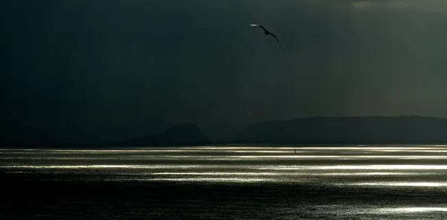 待办事项::不计其数::马尔格图特:: :: 20140831 8711