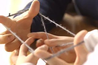 手,竹节虫,缝纫针,手掌,针灸,猫的摇篮