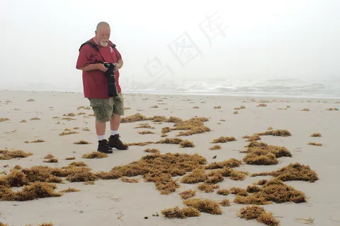 海洋,沙漠,沙池,女孩,玩具,Brody Savenging海滩
