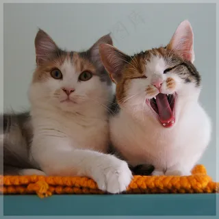 哈哈哈！ （已分解）