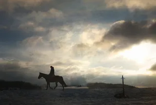 天空,单座二轮马车,汗血马,草原,沙漠之舟,骑士马与剑