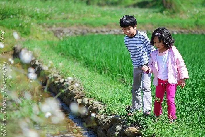 3_1317-Farmland，我的孩子，*童年记忆的传承-安坑台大农场-种植-孩童