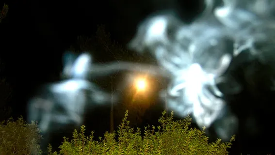 伊比沙月亮仙子！ X