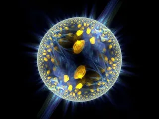 管水母目动物,深海水母,箱水母,水蚤,水母,实验109-分形