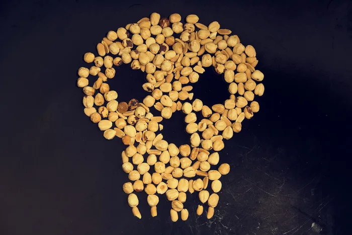 花卉,图画,豆子,峨眉贝母,工笔画,花生豆