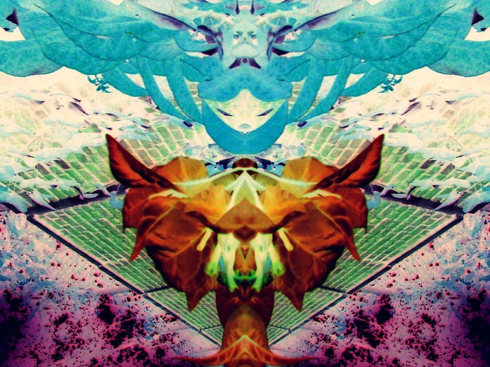 王子的狮子