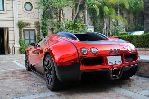 汽车,轿车,跑车,SUV,垃圾箱,布加迪威龙[探索！]