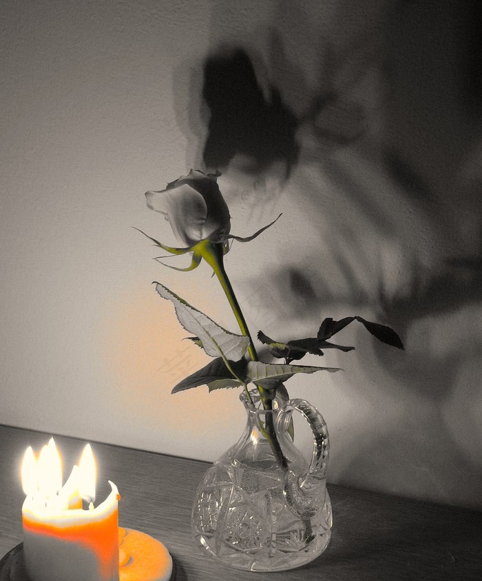 蜡烛，玫瑰和阴影