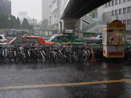 新宿的ゲリラ豪雨的一天