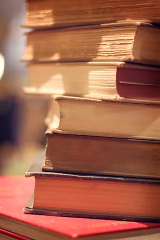 书籍,柜子,沙发,椅子,男孩,书架