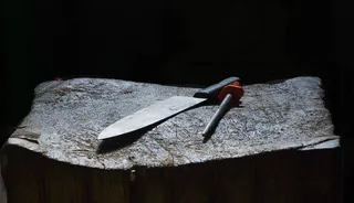 圆珠笔,遥控器,高空跳台滑雪,金冠啄木鸟,包,肉