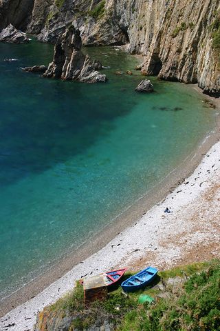 海洋,湖泊,江河,街道,树,在沙滩上